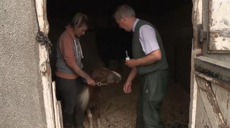 Video thumbnail: The Yorkshire Vet Season 3, Episode 10