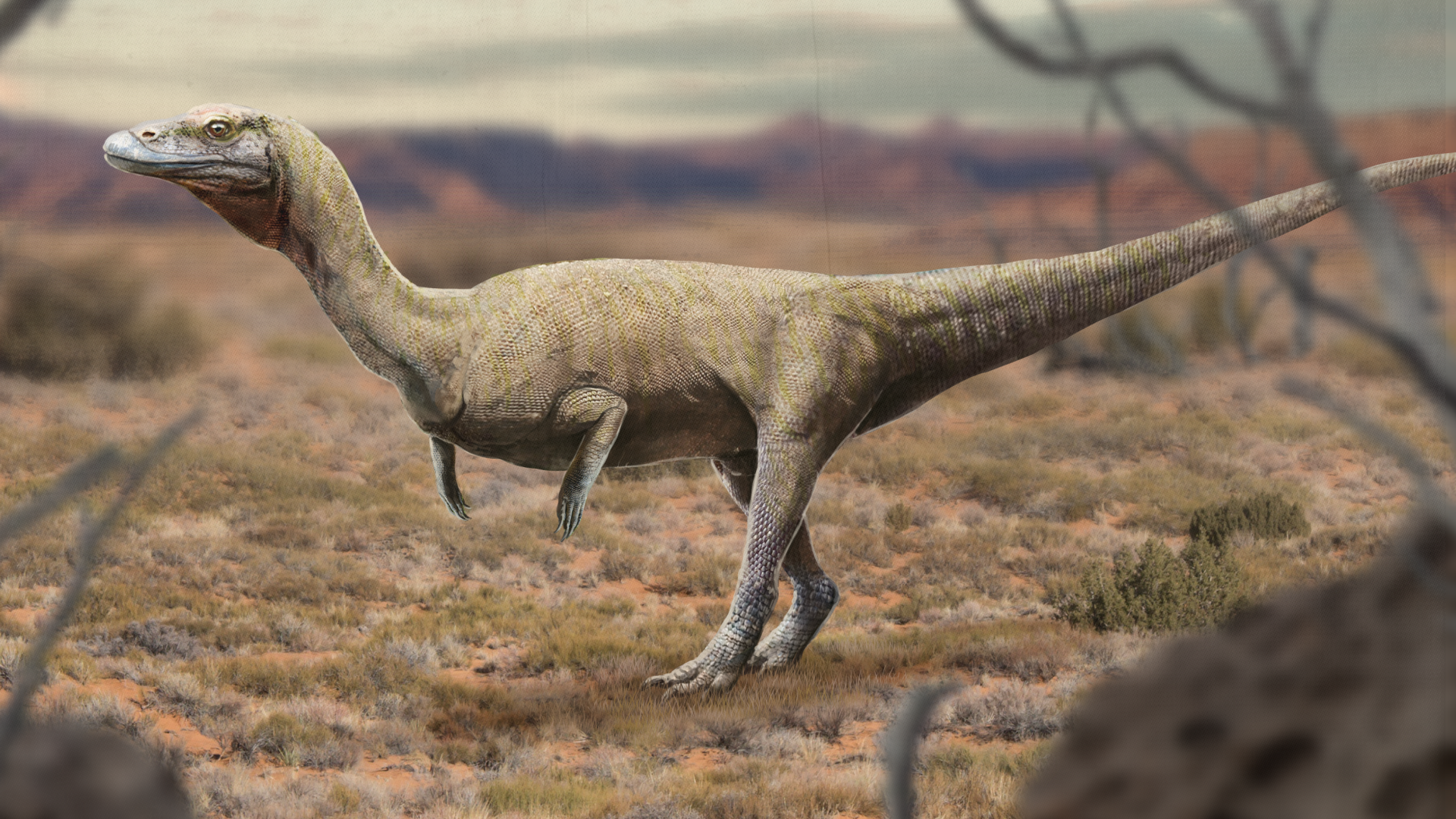 Eons | When Dinosaur Look-Alikes Ruled the Earth | Season 3 | Episode 9 |  PBS