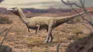 When Dinosaur Look-Alikes Ruled the Earth