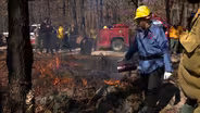 Prescribed burn at Bass River State Forest
