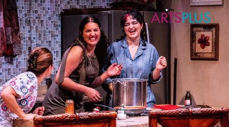 Video thumbnail: WEDU Arts Plus 1204 | Stageworks Theatre