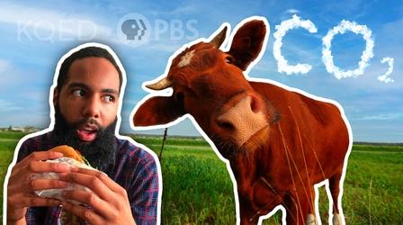 Video thumbnail: Above The Noise Is It Time For You to Ditch Milk and Dairy?