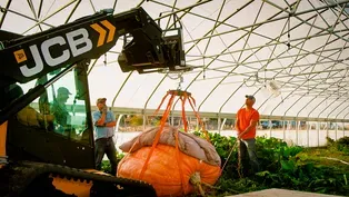 Inside the high-stakes world of competitive pumpkin growing with Colorado record-holder, Brad Bledsoe