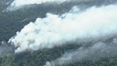 South Jersey forest fire now fully contained