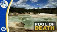 Yellowstone and Their Steaming Acid Pools of Death