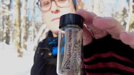 Video thumbnail: WPBS Weekly: Inside the Stories January 31, 2023