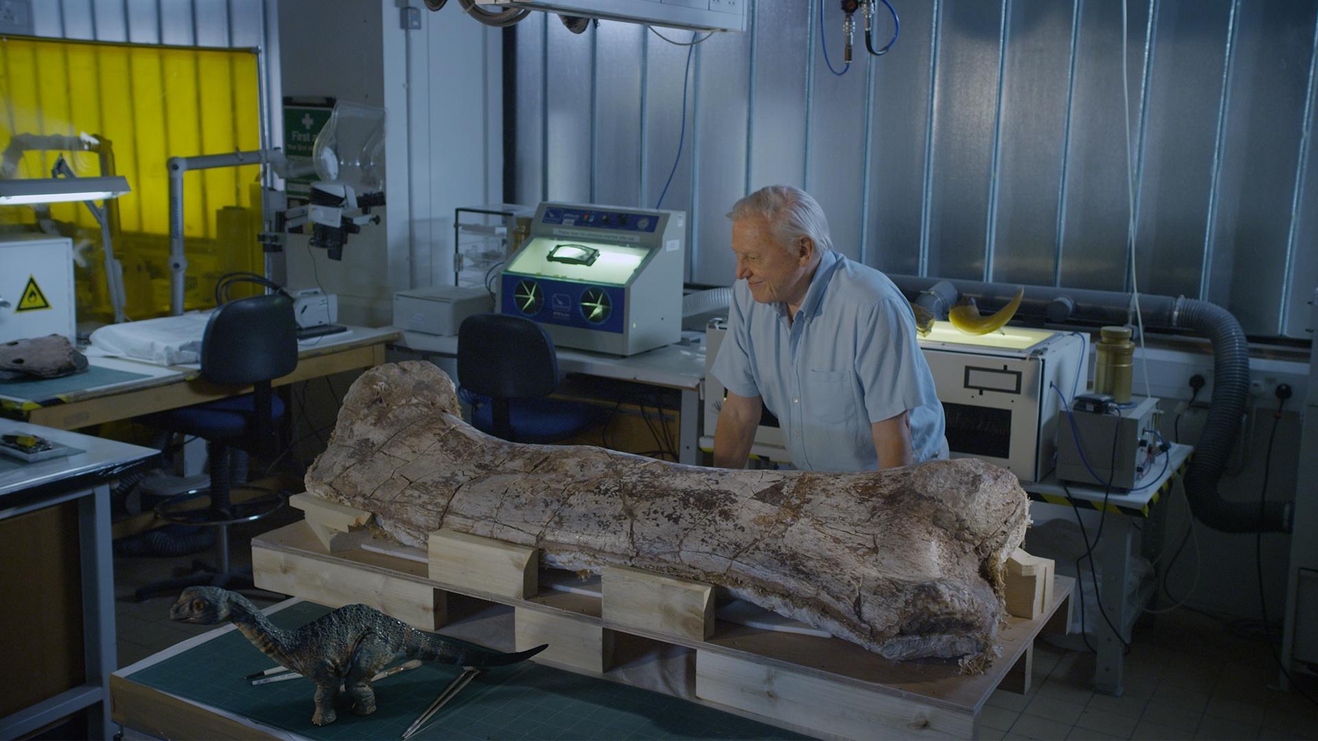 Sir David Attenborough explores London’s Natural History Museum, where extinct creatures come alive.