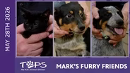 5/28/2026 | Debra, Orange Julius and Dilly Bar | Mark's Furry Friends Extra