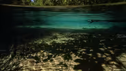 Rivers of Life : 102