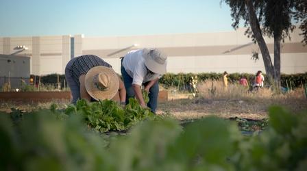 Video thumbnail: Earth Focus San Bernardino's Garden of Health: A Place of Resistance