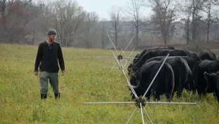 Where Cattle Meets Climate