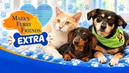 Eagon, Gracie and Kelsi | Mark's Furry Friends Extra