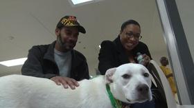 Video thumbnail: NJTV News Service dog program helps veterans and inmates