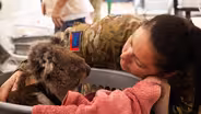 Emergency Vet Care During Australian Bushfires