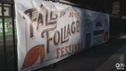 Let's Go! Ep: 37 The Best of... Fall Recap