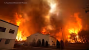 ‘Complete devastation’ for business destroyed in wildfire