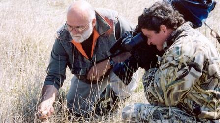 Video thumbnail: Prairie Sportsman Remembering Mr. Grouse