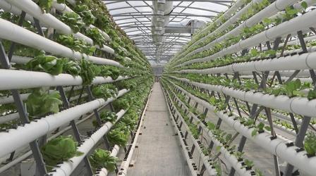 Video thumbnail: InnovateNC InnovateNC: Pembroke