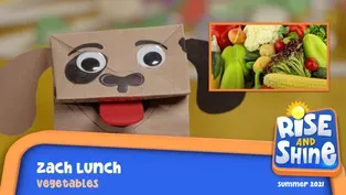 Zach Lunch Veggies