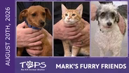 8/20/2026 | Cheddar Crisps, Bigs and Number 52 | Mark's Furry Friends
