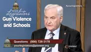 Gun Violence and Schools (April 19)