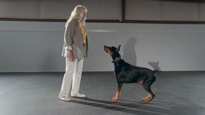 A Day at a Canine Freestyle Dance Class