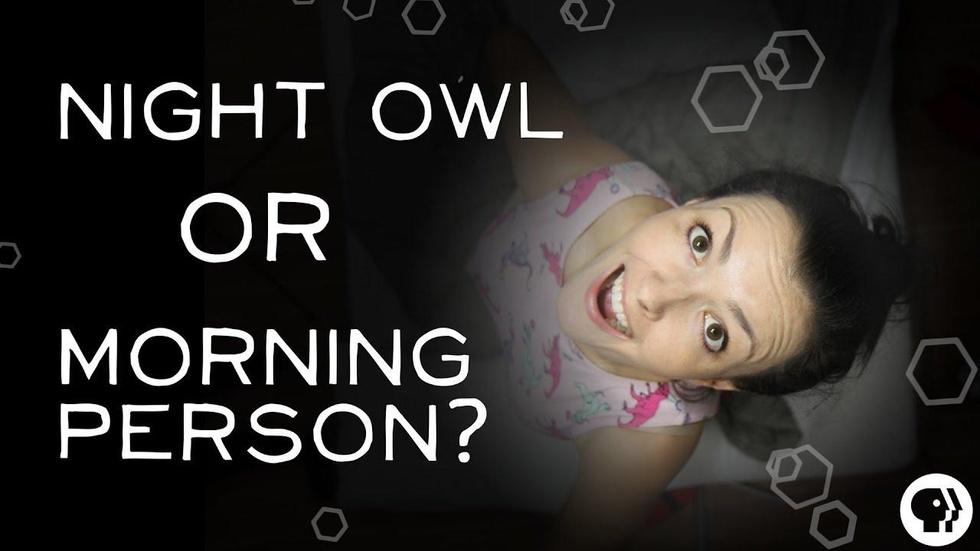 S3 Ep33: What Makes Someone a Night Owl? image