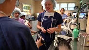 What Does an Animal Services Veterinarian Do?