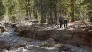 Spring Mountains Survey