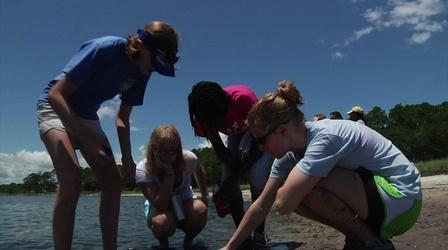 Video thumbnail: WFSU Education Exploring the World of the FSU Coastal Marine Lab