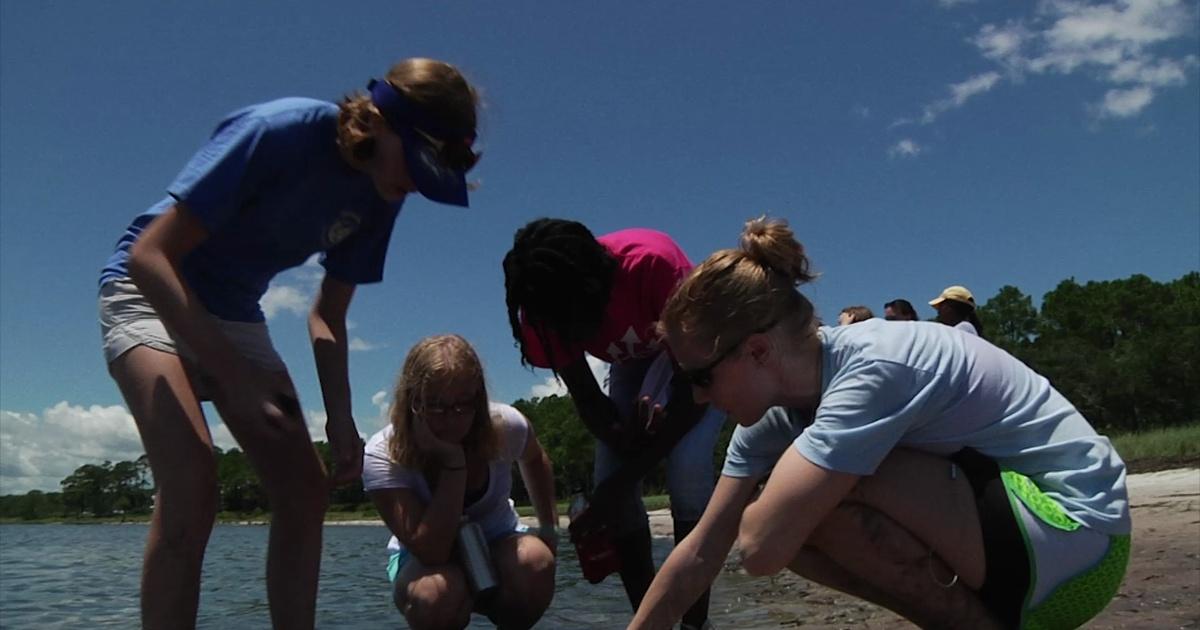 WFSU Education | Exploring the World of the FSU Coastal Marine Lab ...