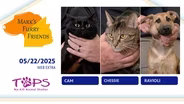 05/22/2025 | Cam, Chessie, Ravioli | Mark’s Furry Friends Extra