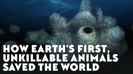 Video thumbnail: Eons How Earth's First, Unkillable Animals Saved the World