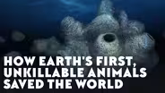 How Earth's First, Unkillable Animals Saved the World