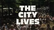 The City Lives