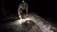 A Stingray Encounter