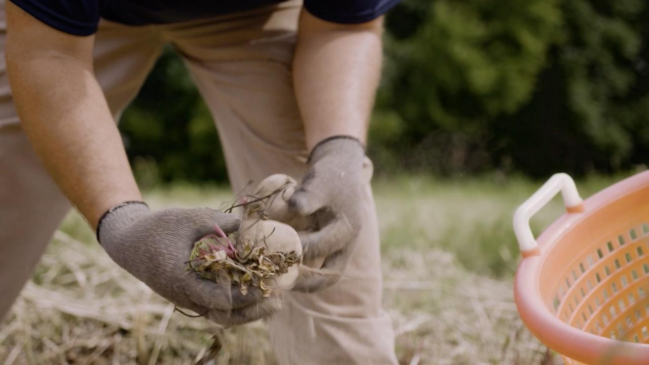 Life In The Heart Land | Migrant Workers