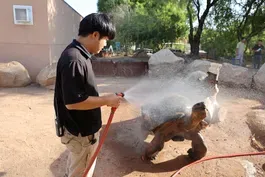 What it’s like living through Phoenix’s historic heat wave