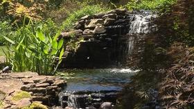Video thumbnail: Volunteer Gardener Volunteer Gardener 2751