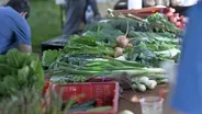 Downtown Salt Lake City Farmer's Market