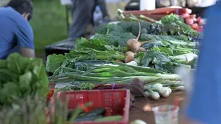 Downtown Salt Lake City Farmer's Market