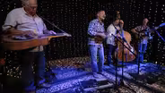 Stray Grass "Written in the Stars"
