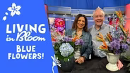Let's Make a Blue Flower Arrangement! - Living in Bloom with J Schwanke