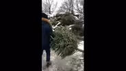 Chicago Park District Collects Christmas Trees for Mulching