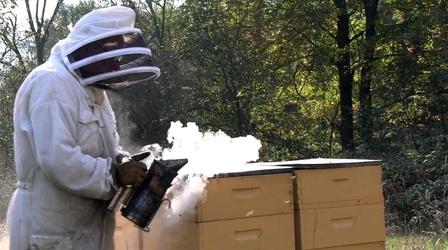 Video thumbnail: Second Act Beekeeper / Covid 19 Update/ Roundabouts / Exercise Cords
