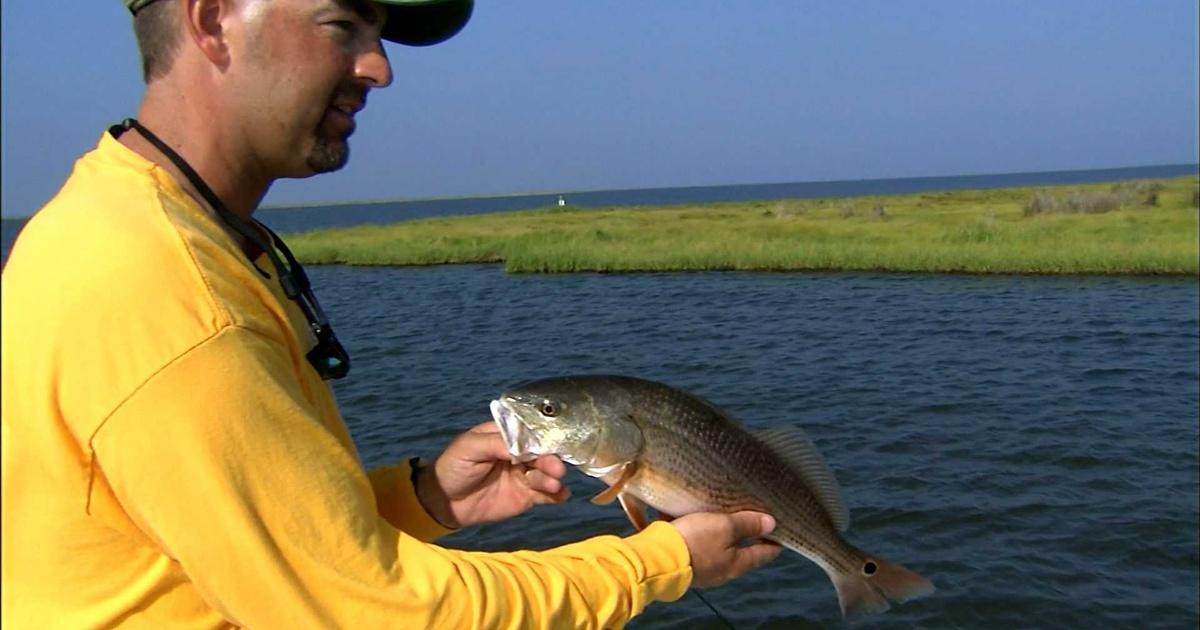 Carroll Outdoors: Easy summer bass fishing – Baltimore Sun