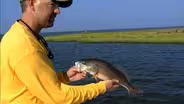 Redfish Marsh