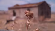 Rising heat, sea levels hurt life in Sicily, Italy
