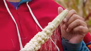 Preview - Oneida White Corn