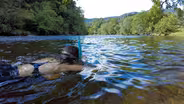What You’re Missing Beneath North Carolina’s Rivers